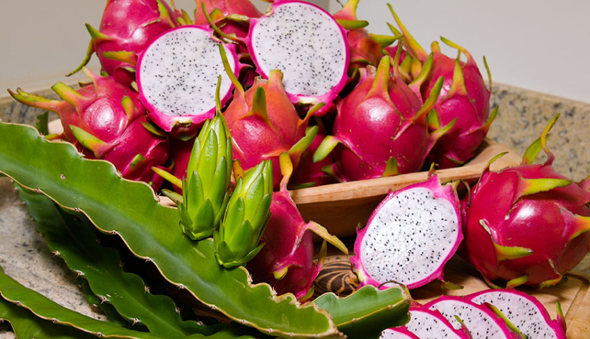 feira-brasil-na-mesa-destaca-riqueza-e-diversidade-alimentar-produzida-por-pequenos-agricultores