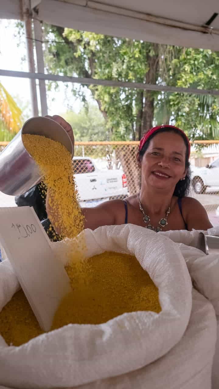feirinha-da-seadi-promove-evento-especial-nesta-sexta-feira-valorizando-a-agricultura-familiar