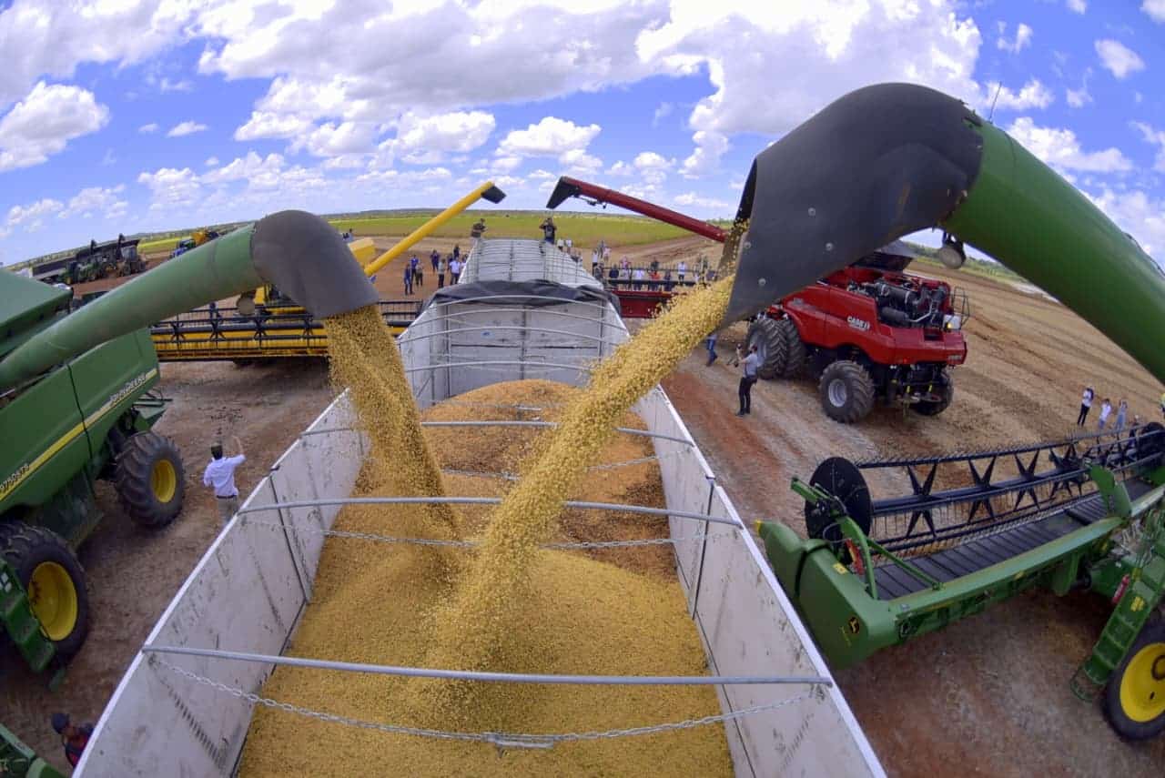 rota-dos-graos-projeta-crescimento-de-9,4%-na-area-plantada-de-soja-em-roraima